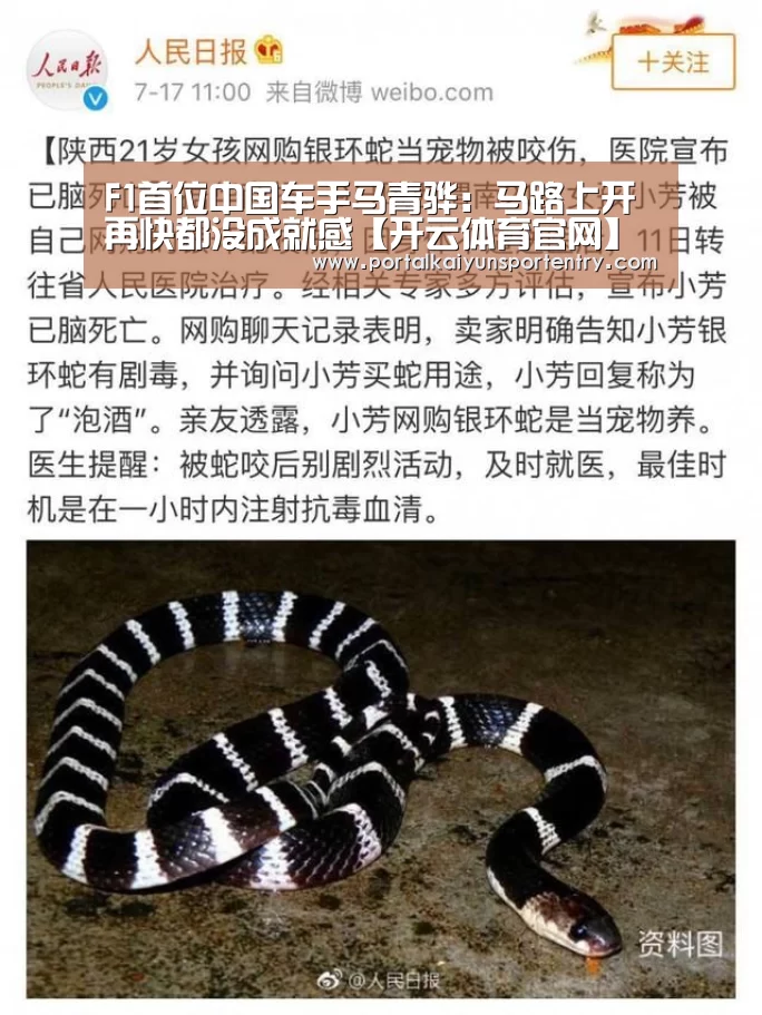 开云体育官网